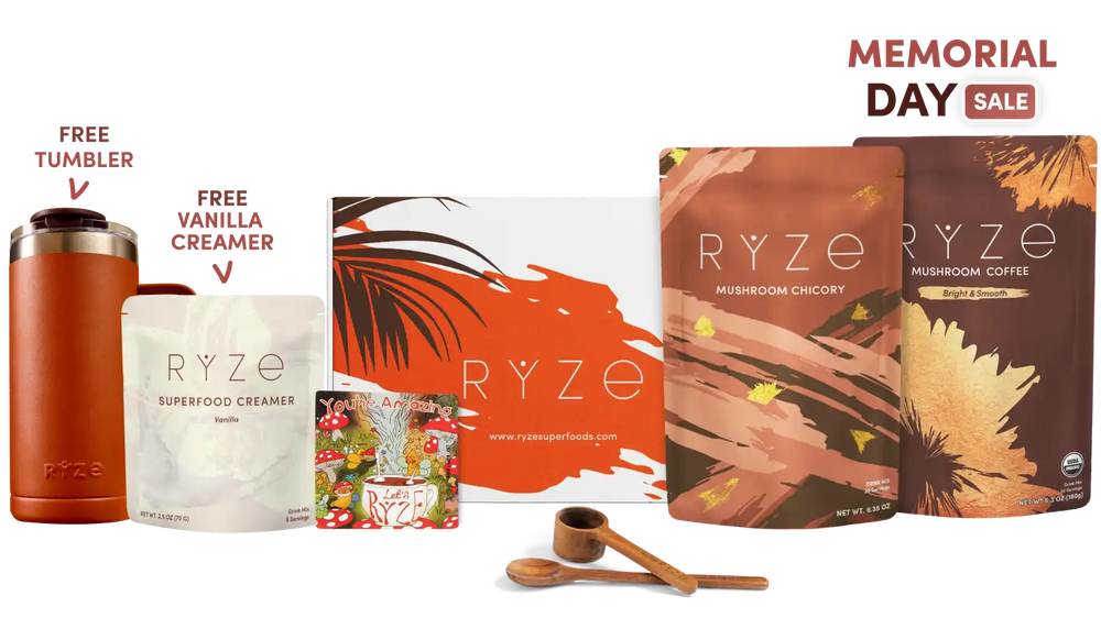 Lasting Energy Bundle (Chicory + Coffee) R4BBAS1G