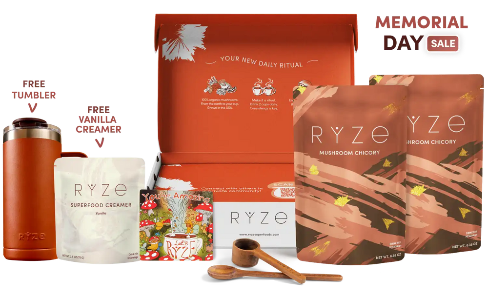 Mushroom Chicory Starter Kit (60 servings) F3LFHYZIYO