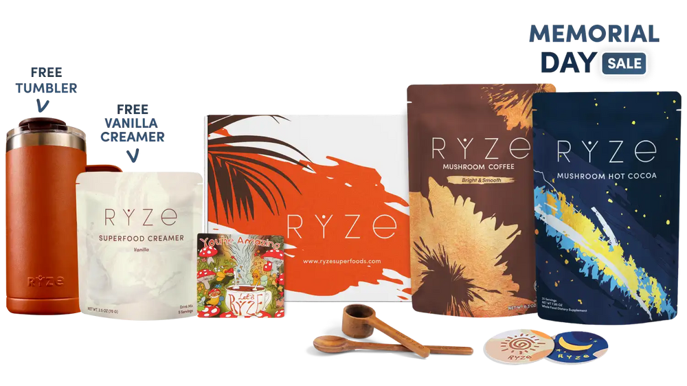 Day + Night Bundle